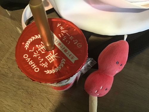 投稿遅れました。