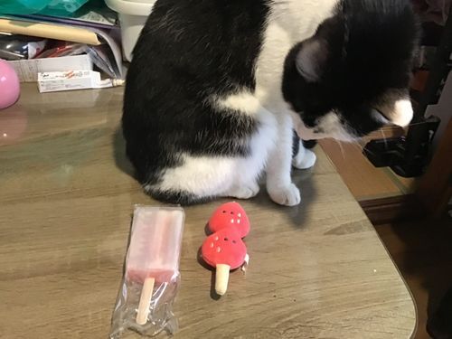 練乳いちごアイス🥛🍓🍨