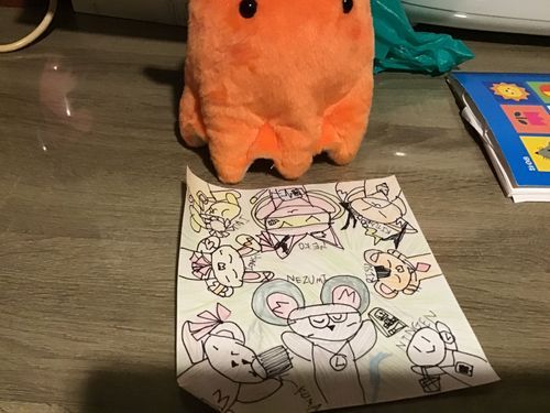 お絵描きをしたもこ！🎨✍
飼い主さんに手伝ってもらったもこ✨
Byもこめん