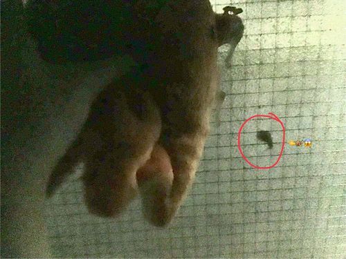 窓にカタツムリが張り付いてた😱
梅雨ですなぁ…((( ´ºωº `)))ｶﾞﾀｶﾞﾀ