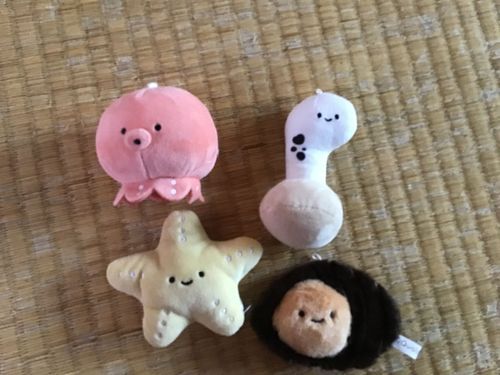生き物組のみんな