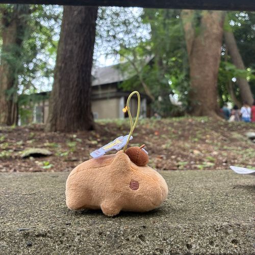 カピバラさんが大好きなおばちゃんです。沢山お写真撮りたいです！