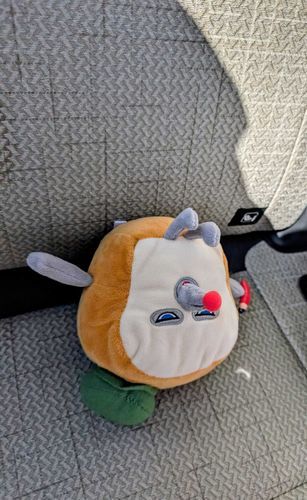 車の中でひっくり返ってた🍞！