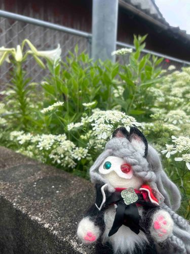 ここを伯ぬい村とする！
伯ぬいさんのアカウントはみかけたらフォロさせていだきますねーこちらはご自由にどうぞー