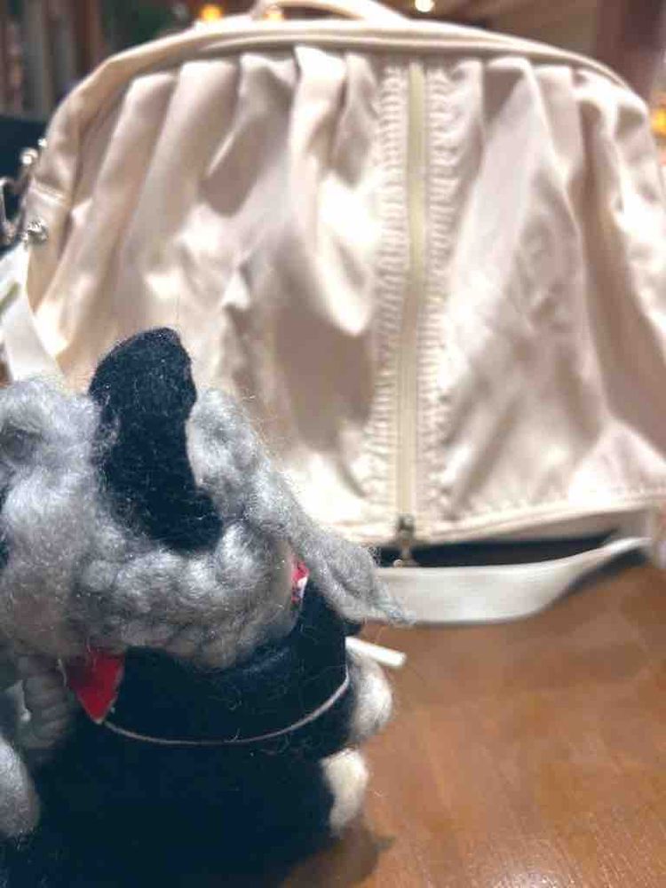 今日は、旅行でいらしてたわたくしちゃんにねこ伯がどうしても会いたい！と言うのでお会いしてきましたー！

すっっっごいかわいい！市販のぬいちゃんみたいな完成度！お洋服のチョイス最高👍👍👍👍👍
バブちゃんだから許されるおっぱいみえちゃう事故！🤣🤣🤣全てが可愛すぎました…！あとおしりも可愛かったね…
でもお別れはさみしいね ねこ伯…  またぜひ会いましょうね！引き続き楽しい旅になりますように✨
