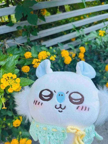 見て—🌼🌼🌼