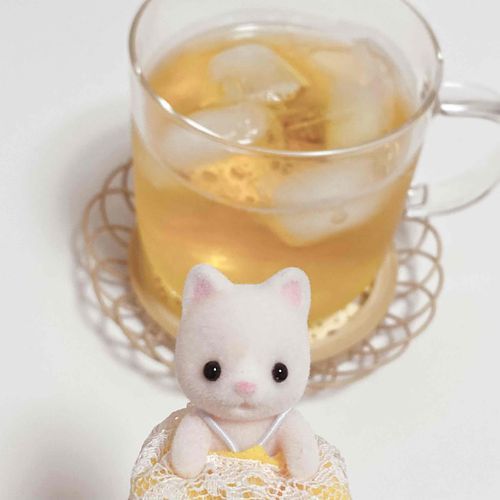 新しいコースターとコップでレモンティー🍋
お洋服とレモンティーの色合っててかわいいね