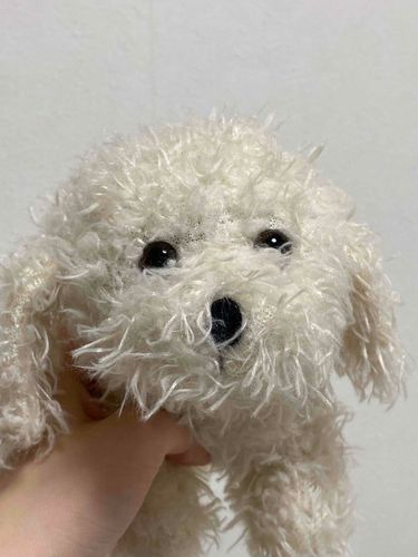 懐かしい子を掃除してたら発見した💡