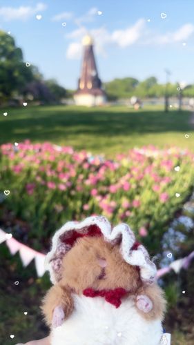 じつは後ろハート🌷でち