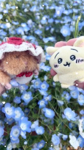 お花を感じる
