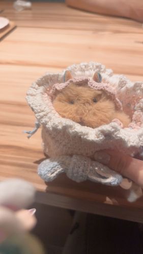 持ち歩きハウスも編んでもらったよ🐹