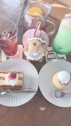 僕のテリトリー！
