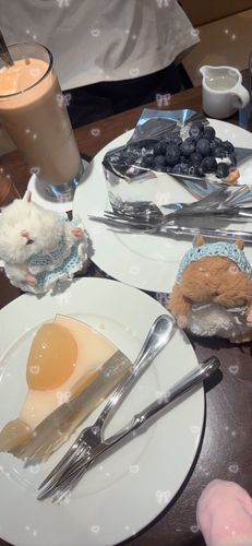 ケーキ食べていいんですか！