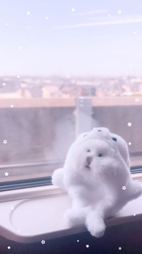 アザラシがきにいったおこめ
