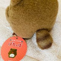 たぬきさん