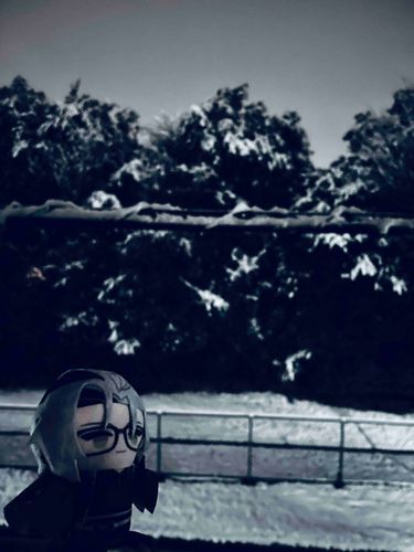 Hexy, you may not see it, but it's still snowing☃️❄️
It's very cold.

寒いね、ヘクシー
お外に出るのはやめておきましょう