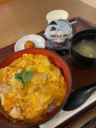久しぶりのお出かけに付き合ってくれてありがとう❤️
これが親子丼というものだよ
美味しそうだね☺️(美味しかったよ)