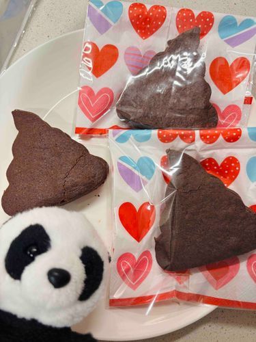 🐼うんこのチョコサンドできた！うんこのガナッシュをうんこのクッキーではさんだよ！いぇ〜いﾌﾞﾘﾌﾞﾘﾌﾞﾘﾌﾞﾘﾌﾞﾘﾌﾞﾘ‼︎