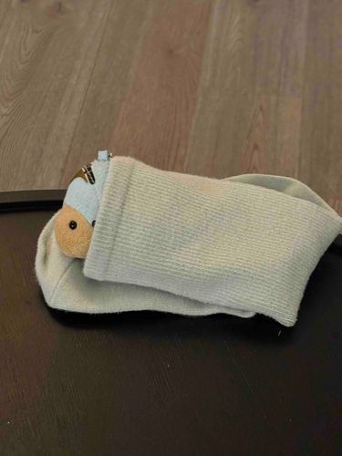 🐛くつしたにはいって、テレビみてる