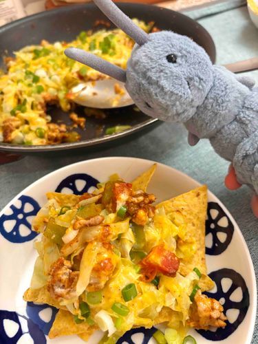 🐛メキシカンふうなやつ！やさい、すき〜！