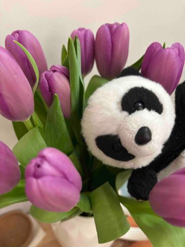 🐼むらさきのちゅ〜りっぷ