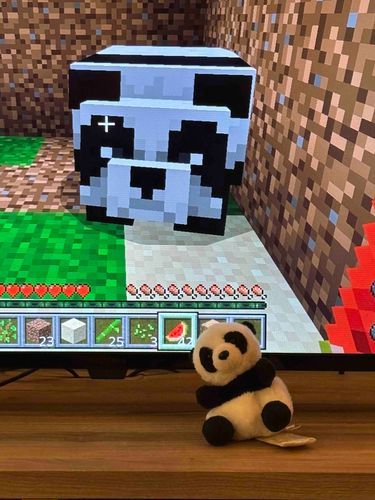 🐼あれれ〜！