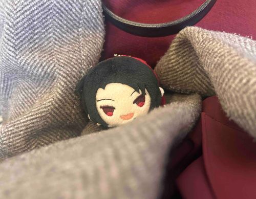 ごえいしてるよ。あるじきょうはどこいくのー？