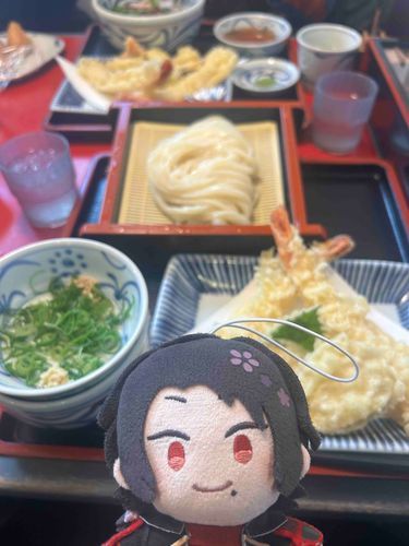 天ぷらざるうどん