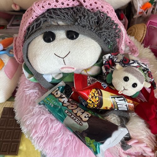 ジャイアントコーンにハマってるんだよぉ〜！モチ🍡
リアリィね〜パリパリのとこ好きなの〜♡リアリィ🐶