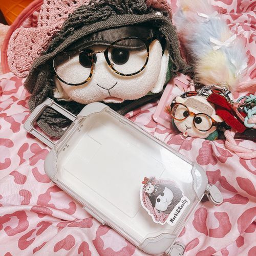 見て欲しいんだよぉ〜！DAISOでキャリーケースを買ってもらったんだよぉ〜！モチ🍡
モチリアシールを貼ってみたの〜♡リアリィ🐶