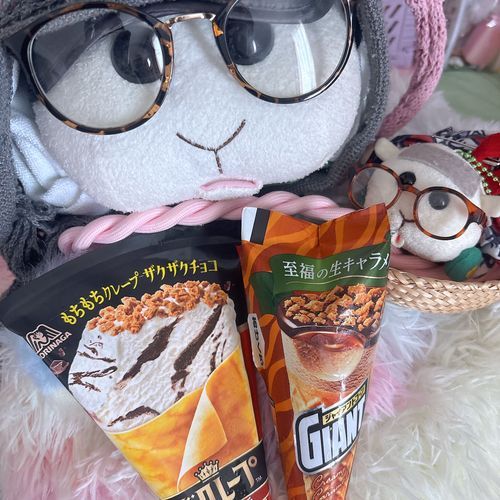 みんな暑いけど大丈夫なんだよぉ〜？元気で夏を迎えるんだよぉ〜！モチ🍡
たくさん水分とるの〜♡リアリィ🐶
