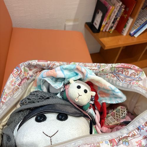 お姉ちゃんの病院へ付き添いなんだよぉ〜！鞄の中で静かにモチモチコソコソしてたんだよぉ〜！モチ🍡
リアリィはリアリアコソコソなの〜♡リアリィ🐶