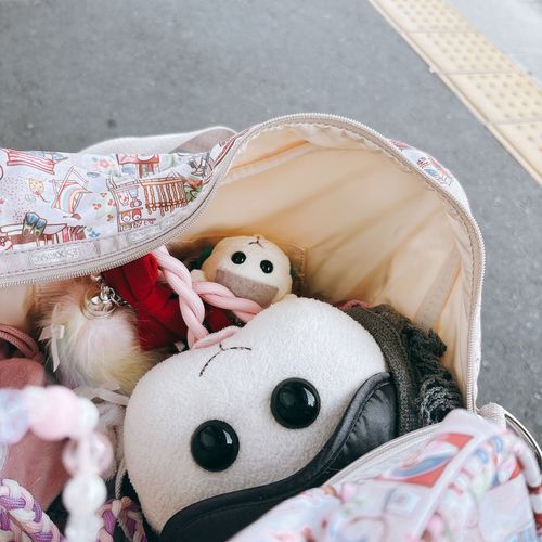 今日はショッピングモールにお出かけなんだよぉ〜！モチ🍡
電車なの〜♡リアリィ🐶