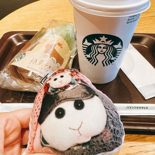 スタバでランチなんだよぉ〜！モチ達スタバ好きなんだよぉ〜！モチ🍡
今日はパッションティーとサラダラップなの〜♡リアリィ🐶