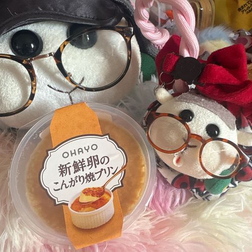 今日のおやつはプリンなんだよぉ〜！モチ🍡
リアリィの好物をお姉ちゃんが買ってくれたの〜♡嬉しいの〜♡リアリィ🐶