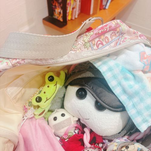 今日はお姉ちゃんの病院の付き添いなんだよぉ〜！コソコソ…モチ🍡
リアリィ🐶かえるさん持ってきちゃったの〜♡リアリィ🐶