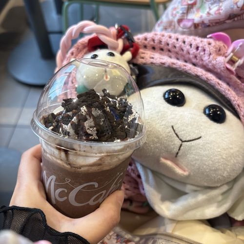 マックのチョコフラッペオレオクッキー🍫🍪モチ🍡たちのおすすめなんだよぉ〜！ホイップクリームとザクザクオレオと濃厚なチョコドリンク最高なんだよぉ〜！モチ🍡
リアリィ🐶もオススメなの〜♡