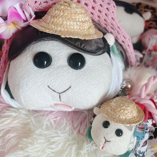 7月は麦わら帽子なんだよぉ〜！👒引き続きプルメリアもつけるんだよぉ〜！モチ🍡
リアリィ🐶初めて帽子かぶったの〜♡これで夏を乗り切るの〜♡リアリィ🐶