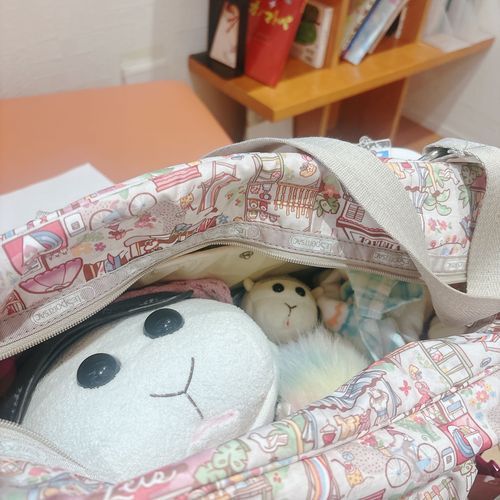 今日はお姉ちゃんの病院の付き添いなんだよぉ〜！モチ🍡とリアリィ🐶はナイトなんだよぉ〜！モチ🍡
リアリィ🐶ちゃんとおとなしく護るの〜♡リアリィ🐶