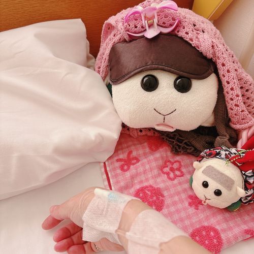 お姉ちゃんの入院に付き添いなんだよぉ〜！明日か明後日には退院なんだよぉ〜！モチ🍡たちはお姉ちゃんのナイトだからがんばるんだよぉ〜！モチ🍡
点滴の針さすの2回も失敗だったの〜♡痛そうなの〜♡でもリアリィ🐶たちがいたら大丈夫なの〜♡リアリィ🐶