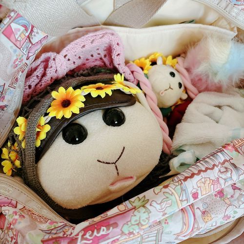また早朝から、、、なんだよぉ〜！モチ🍡
リアリィ🐶ねむねむなの〜♡むにゃむにゃなの〜♡リアリィ🐶