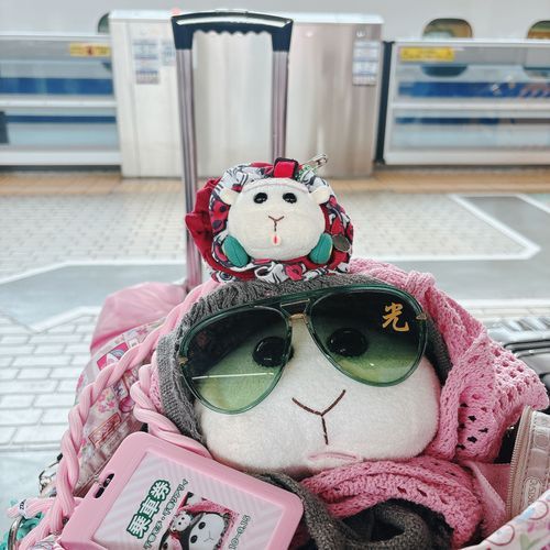 6日から広島旅行なんだよぉ〜！写真は去年の9月にモチ🍡とリアリィ🐶とお姉ちゃんと広島行った時のなんだよぉ〜！モチ🍡とリアリィ🐶は初めてのドキドキ新幹線だったんだよぉ〜！モチ🍡
リアリィ🐶は去年ハワイ島から引っ越してきたから初めての国内旅行だったの〜♡すごく良い思い出なの〜♡