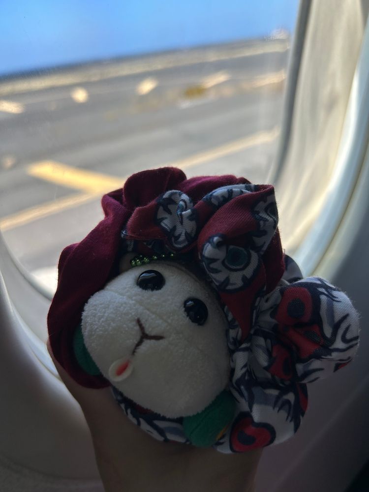 LAWSONからお姉ちゃんのお家に来たばっかりのモチ🍡とハワイ島で出会って出国間近のリアリィ🐶なんだよぉ〜！モチ🍡若いんだよぉ〜！モチ🍡
リアリィ🐶あの時は緊張したの〜♡モチ🍡とお姉ちゃんと出会えて日本に来れて良かったの〜♡リアリィ🐶