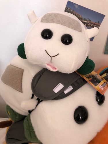 LAWSONからお姉ちゃんのお家に来たばっかりのモチ🍡とハワイ島で出会って出国間近のリアリィ🐶なんだよぉ〜！モチ🍡若いんだよぉ〜！モチ🍡
リアリィ🐶あの時は緊張したの〜♡モチ🍡とお姉ちゃんと出会えて日本に来れて良かったの〜♡リアリィ🐶
