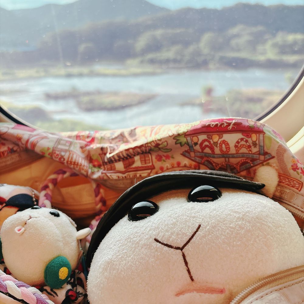 もうすぐ岡山なんだよぉ〜！新幹線はやっぱり速いんだよぉ〜！モチ🍡
ここは晴れてるの〜♡広島は曇りぽいの〜♡お姉ちゃんの大切な人には無事会えそうなの〜♡リアリィ🐶