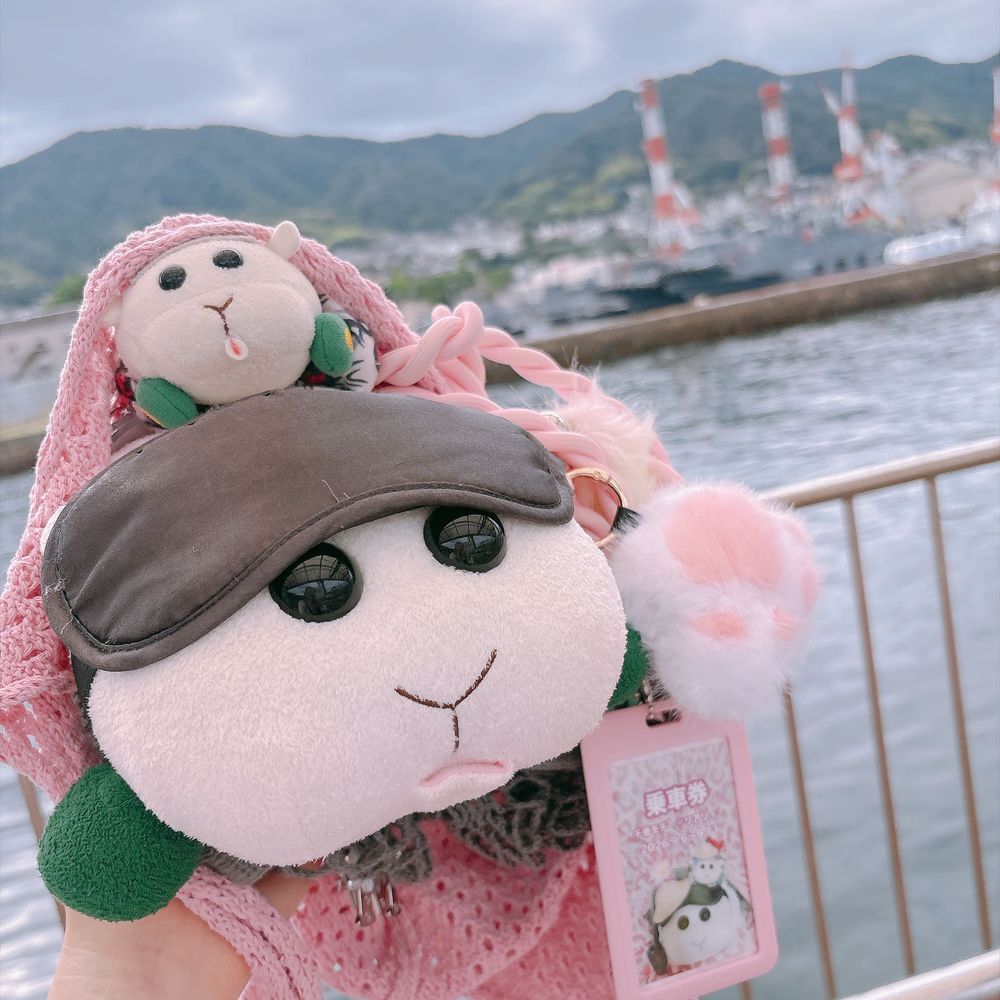 呉港から広島行きのフェリーに乗ったんだよぉ〜！モチ🍡フェリー初めてなんだよぉ〜！モチ🍡
リアリィ🐶カキフライ食べに宮島行くの〜♡カキフライさん待ってて欲しいの〜♡リアリィ🐶