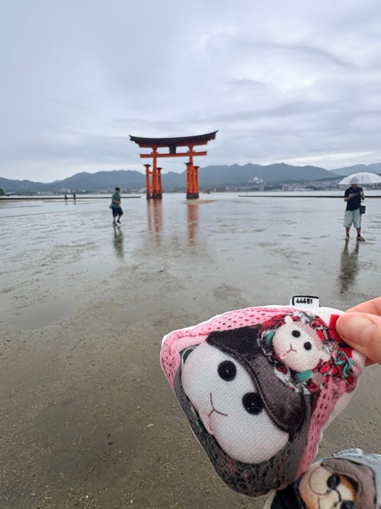 厳島神社⛩️の海の中の鳥居を観たんだよぉ〜！ぬかるんでたけど近くまで行ったんだよぉ〜！神社ではいつもありがとう、モチ🍡達みんなが無事で楽しく生きれるようにってお願いしたんだよぉ〜！モチ🍡