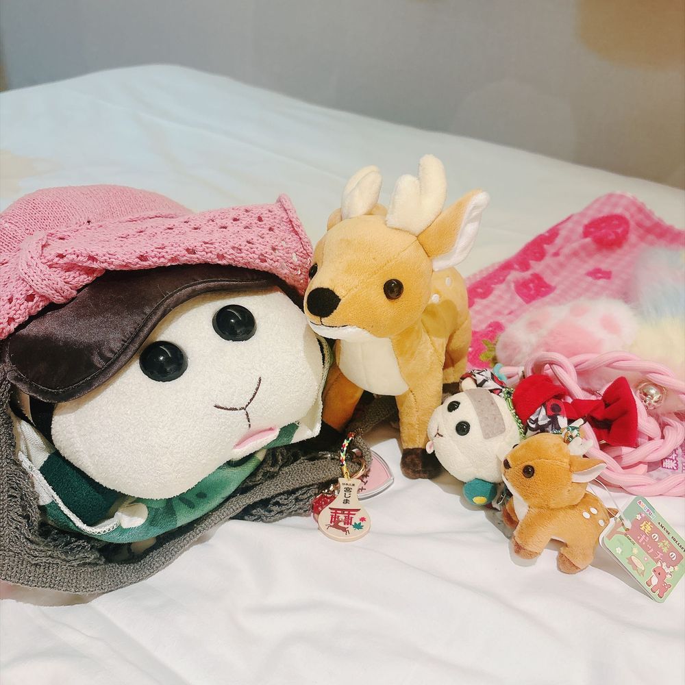 リアリィ🐶のリクエストは小さい鹿さんのぬいぐるみ🦌ともみじ饅頭スクイーズ🍁だったなの〜♡鹿さん可愛がるの〜♡リアリィ🐶
大きい鹿さんはお姉ちゃんが欲しかったんだってぇ〜！モチ🍡に世話してってぇ〜！モチ🍡