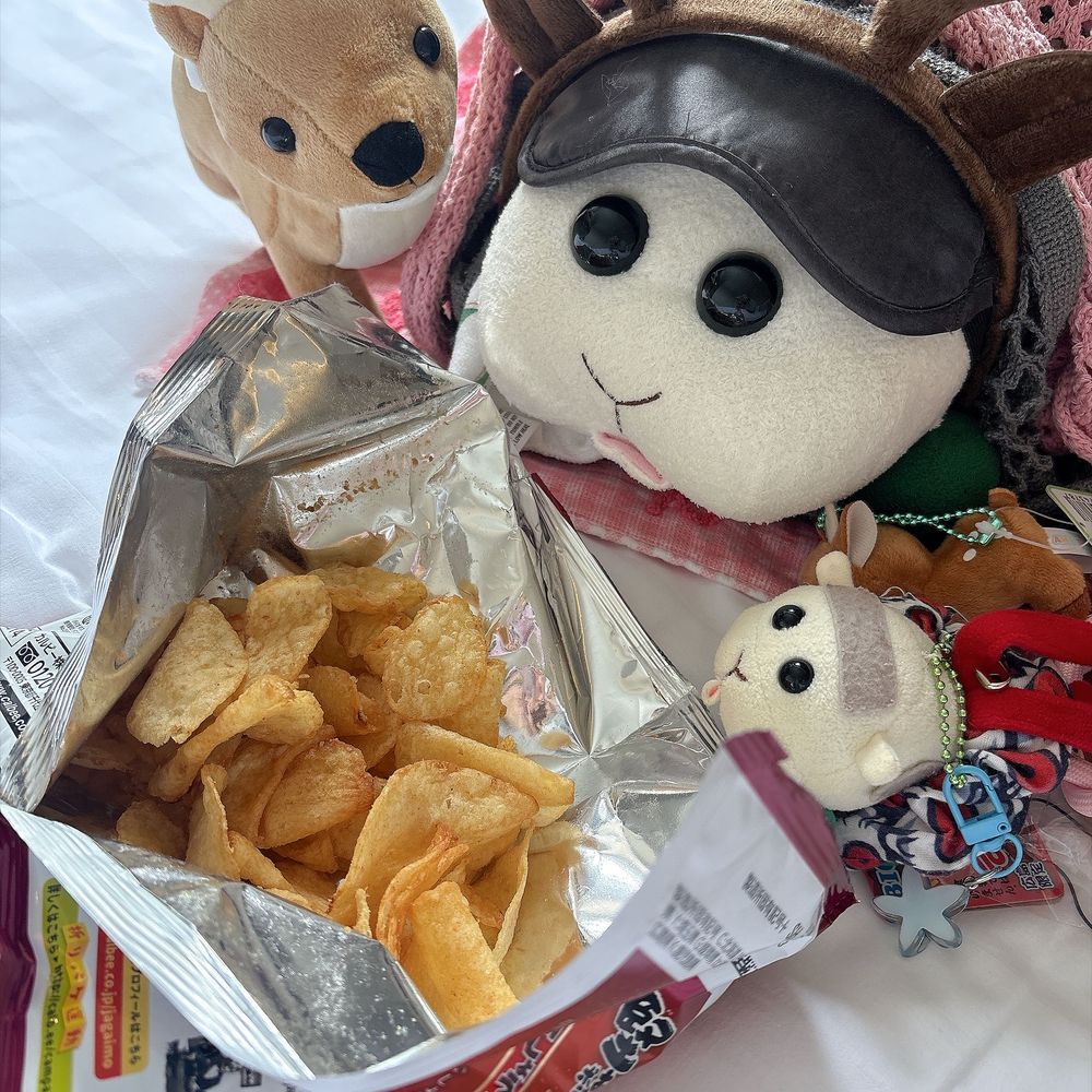 おやつは限定ポテチなんだよぉ〜！明日帰るから寂しいんだよぉ〜、、、モチ🍡
ホテルさん♡住み心地良いなと思って来たのに、、、帰りたくないの〜、、、リアリィ🐶