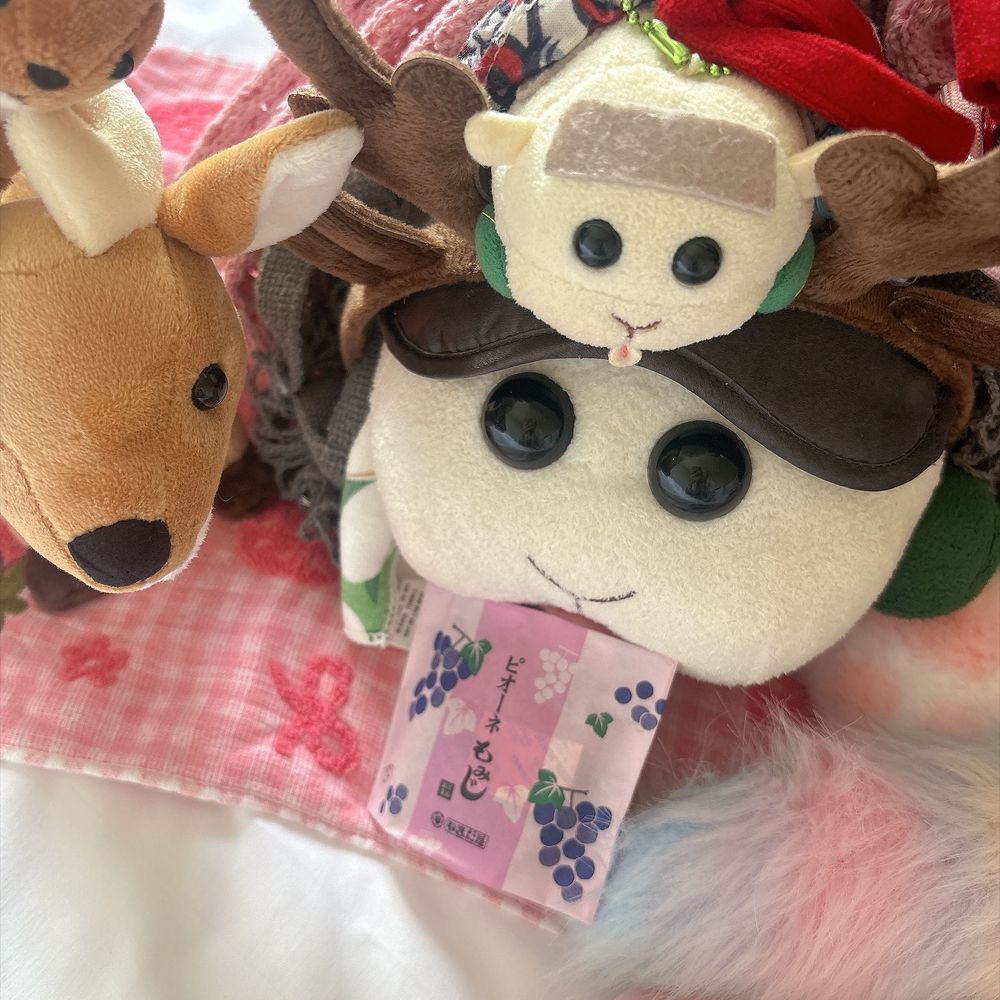 ゆめタウンで売ってて秋っぽいから買ってみたんだよぉ〜！カボチャは甘さが強いんだよぉ〜！🎃🍇🍁モチ🍡
ブドウの味する餡子って初めてなの〜♡不思議な味なの〜♡リアリィ🐶